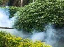 四害消殺完成后，需要做哪些鞏固工作呢？